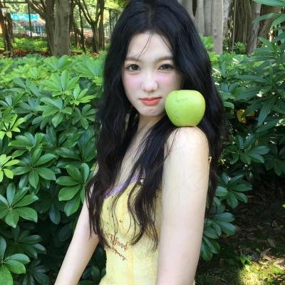 天鹅公主的圣诞节